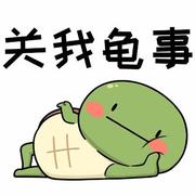 摸个小鱼鱼的个人资料头像