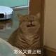 有病啊昵称不能重复头像