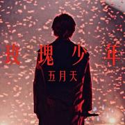 阳绕低杨的个人资料头像