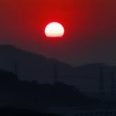 不羡鸳鸯不羡仙89头像