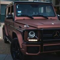 笑看尘埃79头像