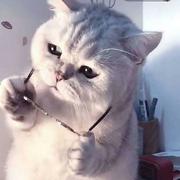 用户1411984687462的个人资料头像