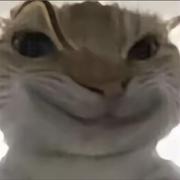 用户8862262846733的个人资料头像