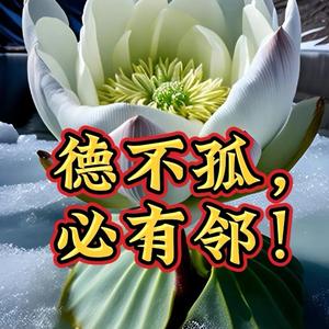 每日经典智慧头像