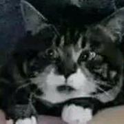 现在即是未来的个人资料头像