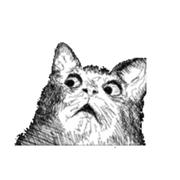 Johnnyww的个人资料头像