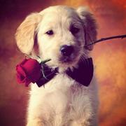 局外人同学28976的个人资料头像