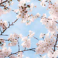 周周有钱吗头像