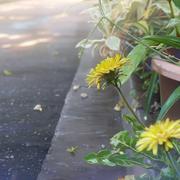 Hi267的个人资料头像