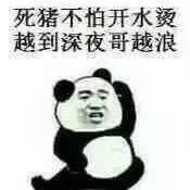 极狐之汽车头像