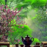 平淡的心态832头像