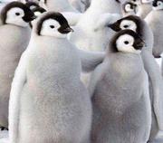 稀土不是土的个人资料头像