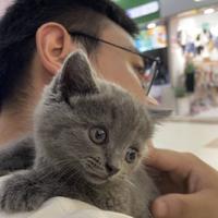 用户3759378588059头像