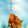 用户5143540471256头像