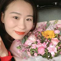 自由的松鼠eRd头像