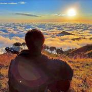 红树的个人资料头像