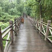 小小开拓者的个人资料头像