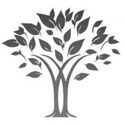 1treeS的个人资料头像