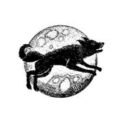 sica的个人资料头像