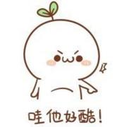 sunny小灰灰的个人资料头像