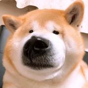 Inversionorgogo的个人资料头像