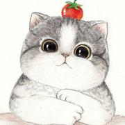 神奇的哈里的个人资料头像