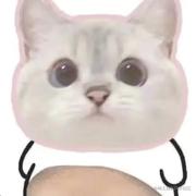 怪力少女扛大炮的个人资料头像