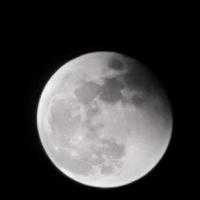 用户8033354866306头像