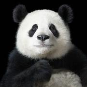 邱先生的个人资料头像