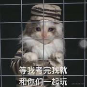 比特牛牛的个人资料头像