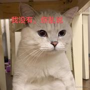 Alexcoding的个人资料头像