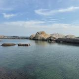 顽强精灵mpw头像