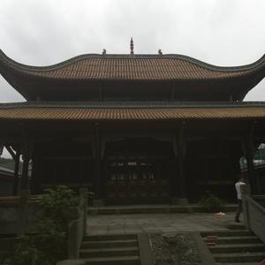 苦命人5z3L头像