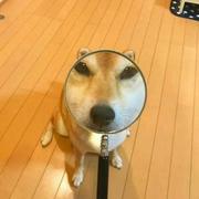 __f的个人资料头像