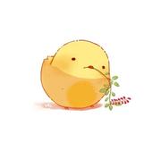 jojo的个人资料头像