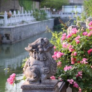 花生米的爹地头像