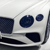 视野榆树2S1头像