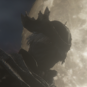 Nullexpr的个人资料头像