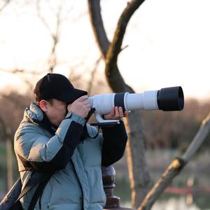 山哥流浪记头像