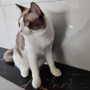 awei4040的个人资料头像