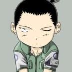 alienzj的个人资料头像