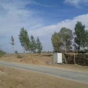 欧阳975的个人资料头像