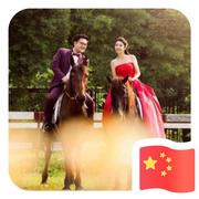 情格格de乖乖臣的个人资料头像