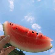 阿白49的个人资料头像