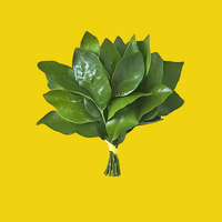 无名氏282687651头像