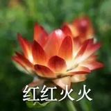 祖椰的搞笑视频头像