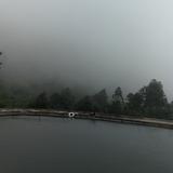 唐煌ABCD头像