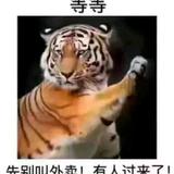 山中之王头像