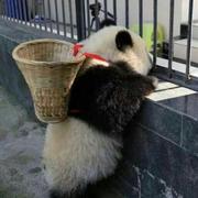 依旧在丶的个人资料头像