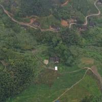 熟悉的想念头像